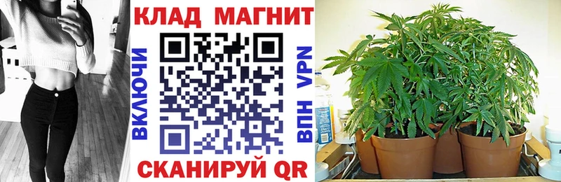 Какие есть наркотики Зверево A-PVP  Гашиш  Псилоцибиновые грибы  Канабис 