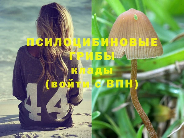 прущая мука Горняк
