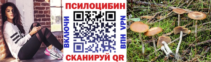 Псилоцибиновые грибы Cubensis  Зверево 